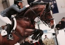 Acorado 3 Della Caccia - Stallion Acord II 2002