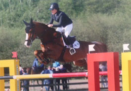 Vivaldi D'hyrencourt - Gelding Udancer Hero 2005